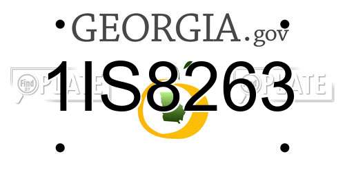 1IS8263 Georgia License Plate