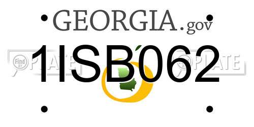 1ISB062 Georgia License Plate