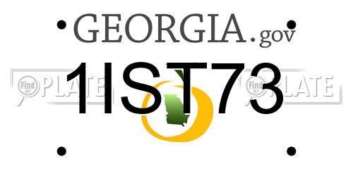1IST73 Georgia License Plate