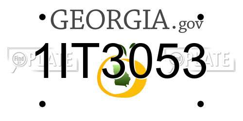 1IT3053 Georgia License Plate