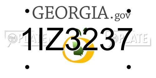 1IZ3237 Georgia License Plate