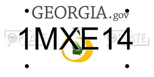 1MXE14 Georgia License Plate