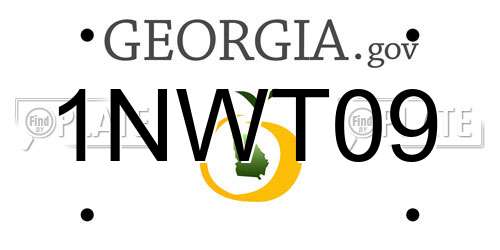 1NWT09 Georgia License Plate