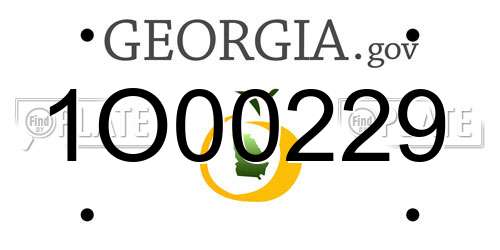 1O00229 Georgia License Plate