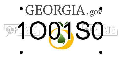 1O01S0 Georgia License Plate