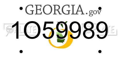 1O59989 Georgia License Plate