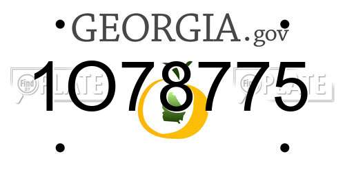 1O78775 Georgia License Plate