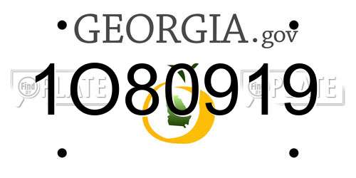 1O80919 Georgia License Plate