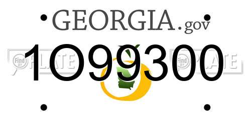 1O99300 Georgia License Plate