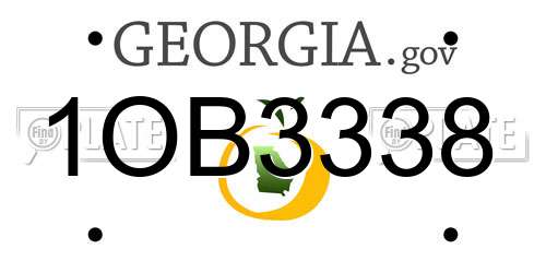1OB3338 Georgia License Plate