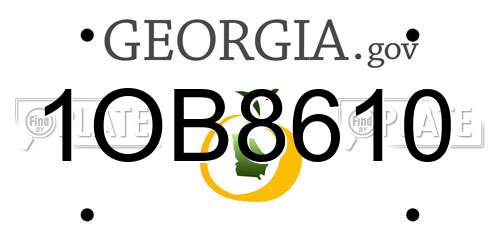 1OB8610 Georgia License Plate