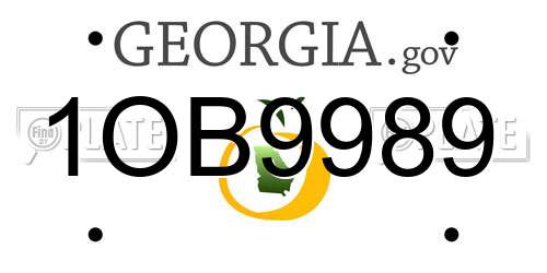 1OB9989 Georgia License Plate