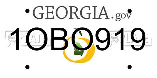 1OBO919 Georgia License Plate