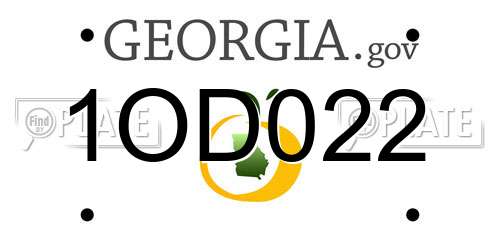 1OD022 Georgia License Plate