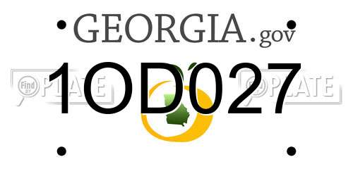 1OD027 Georgia License Plate