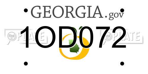 1OD072 Georgia License Plate
