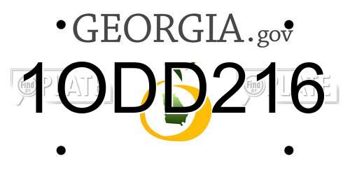 1ODD216 Georgia License Plate
