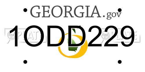 1ODD229 Georgia License Plate