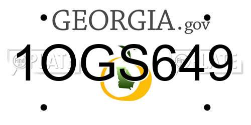 1OGS649 Georgia License Plate