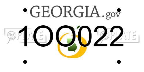 1OO022 Georgia License Plate