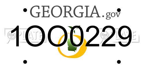 1OO0229 Georgia License Plate