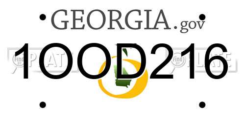 1OOD216 Georgia License Plate
