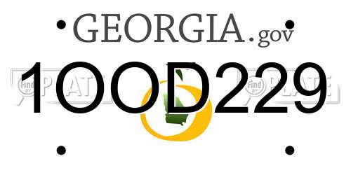 1OOD229 Georgia License Plate