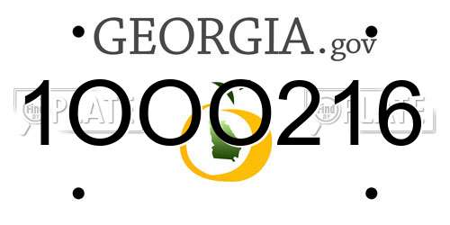 1OOO216 Georgia License Plate
