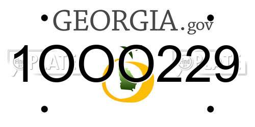 1OOO229 Georgia License Plate