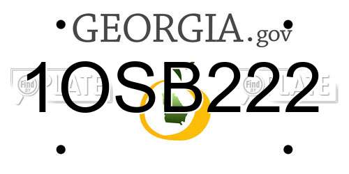 1OSB222 Georgia License Plate