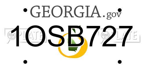 1OSB727 Georgia License Plate