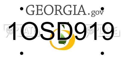 1OSD919 Georgia License Plate