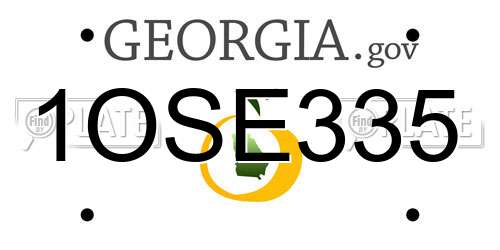 1OSE335 Georgia License Plate
