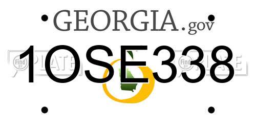 1OSE338 Georgia License Plate