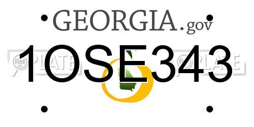 1OSE343 Georgia License Plate
