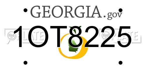 1OT8225 Georgia License Plate