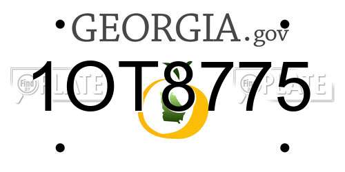 1OT8775 Georgia License Plate