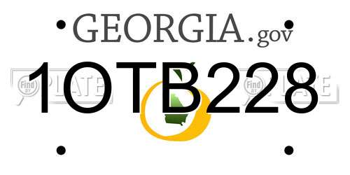 1OTB228 Georgia License Plate