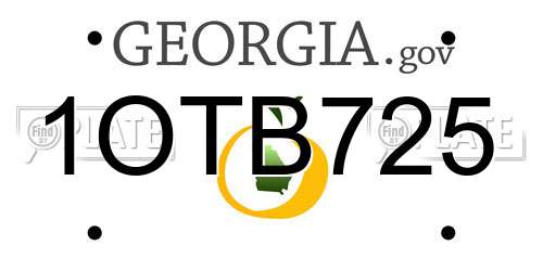 1OTB725 Georgia License Plate