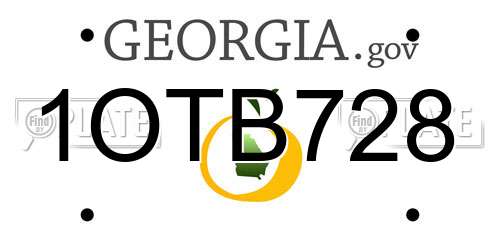 1OTB728 Georgia License Plate
