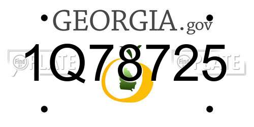 1Q78725 Georgia License Plate