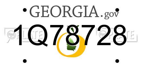 1Q78728 Georgia License Plate
