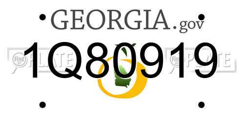 1Q80919 Georgia License Plate
