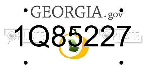 1Q85227 Georgia License Plate