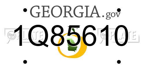 1Q85610 Georgia License Plate