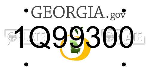 1Q99300 Georgia License Plate