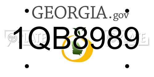1QB8989 Georgia License Plate