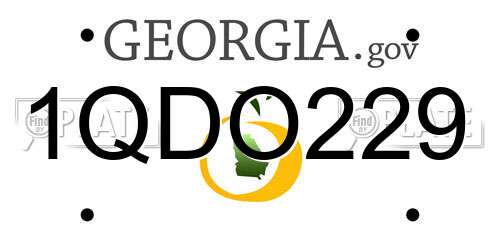 1QDO229 Georgia License Plate