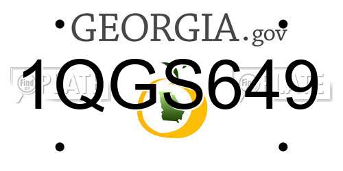 1QGS649 Georgia License Plate