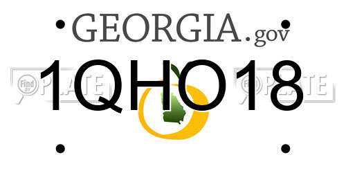 1QHO18 Georgia License Plate